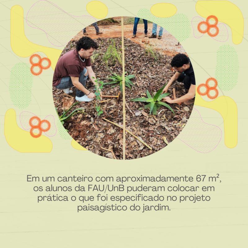 JARDIM 3