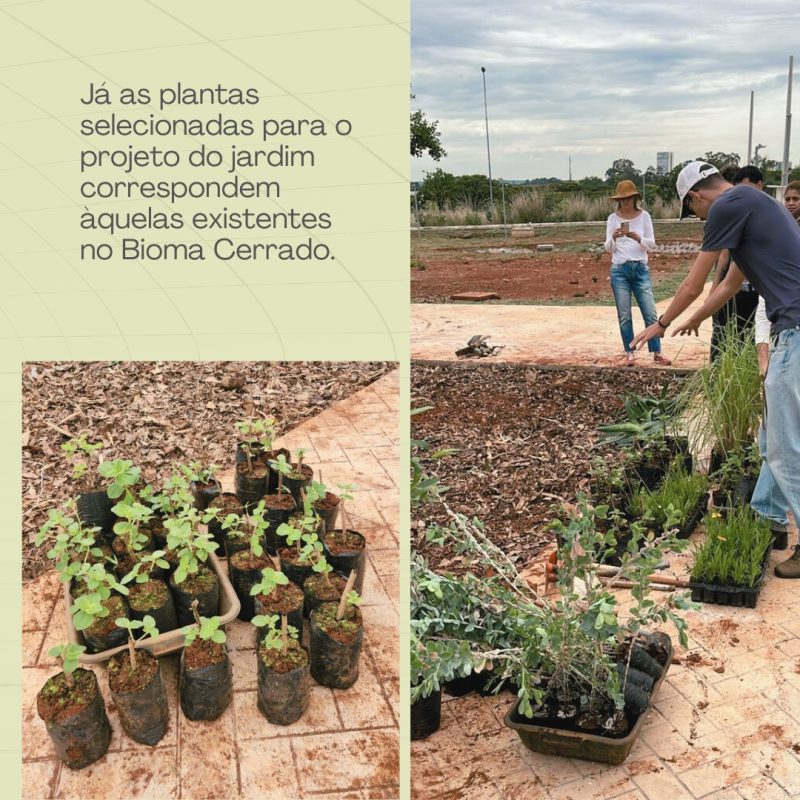 JARDIM 4